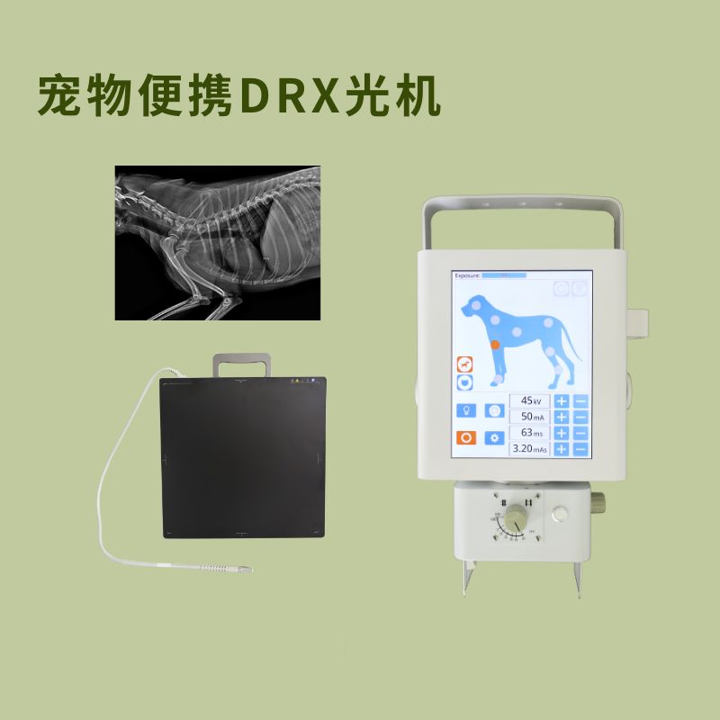宠物便携DR