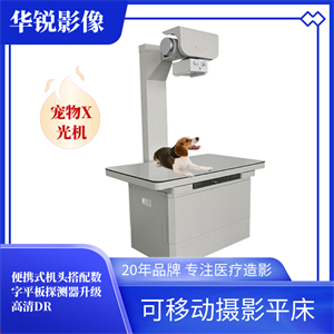 犬只趴卧在可移动摄影平床上准备拍片